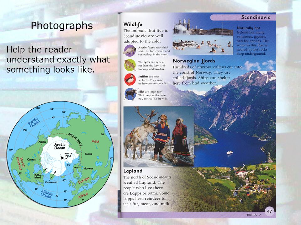 Photographs Help the reader understand exactly what something looks like.