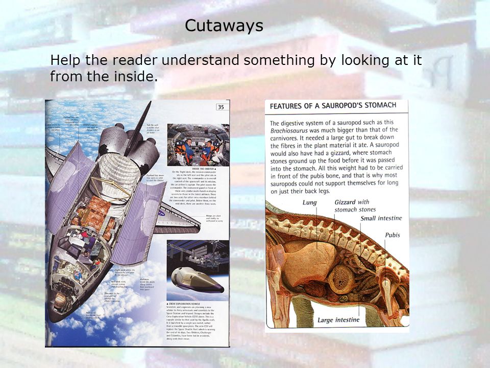 Cutaways Help the reader understand something by looking at it from the inside.