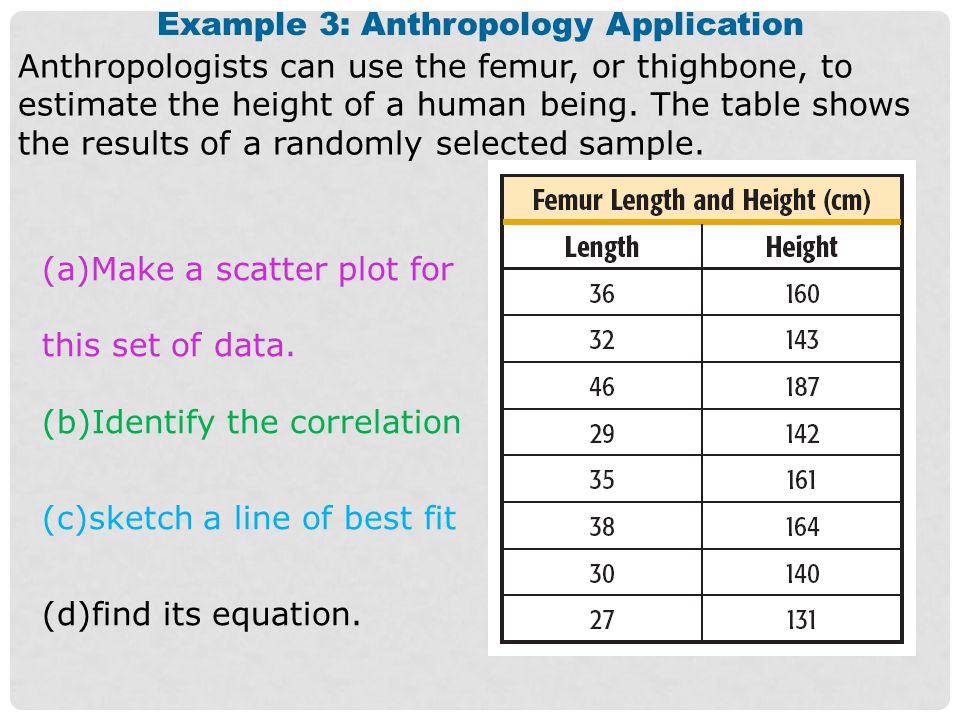 Example 3: Anthropology Application