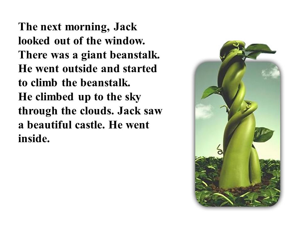 The next morning, Jack looked out of the window