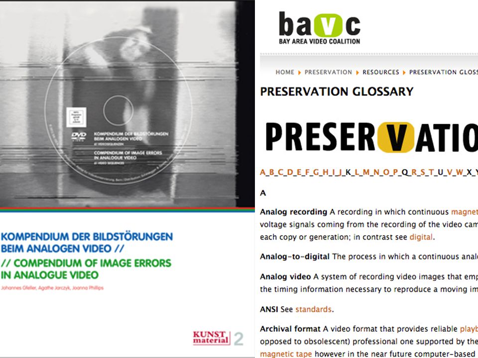 Last spring - One of my first steps was to review existing glossaries a recently released book compendium of image errors in analog video, the bavc glossary, and compare to the existing AVAA.