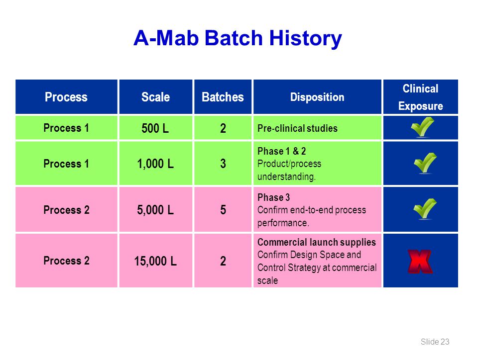 X A-Mab Batch History Process Scale Batches 500 L 2 1,000 L 3 5,000 L
