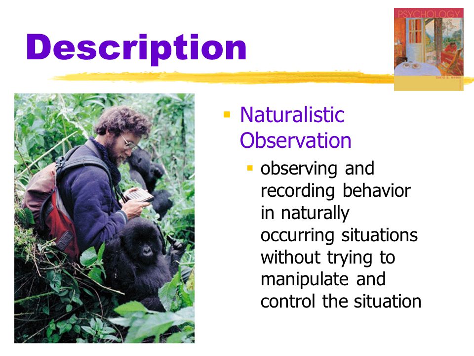 Description Naturalistic Observation