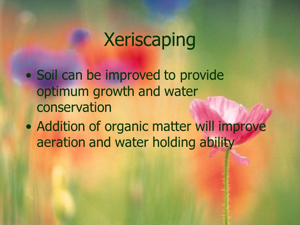 Xeriscaping Soil can be improved to provide optimum growth and water conservation.