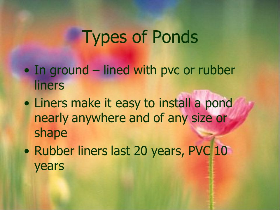 Types of Ponds In ground – lined with pvc or rubber liners