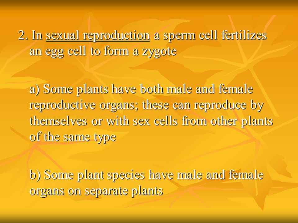 b) Some plant species have male and female organs on separate plants