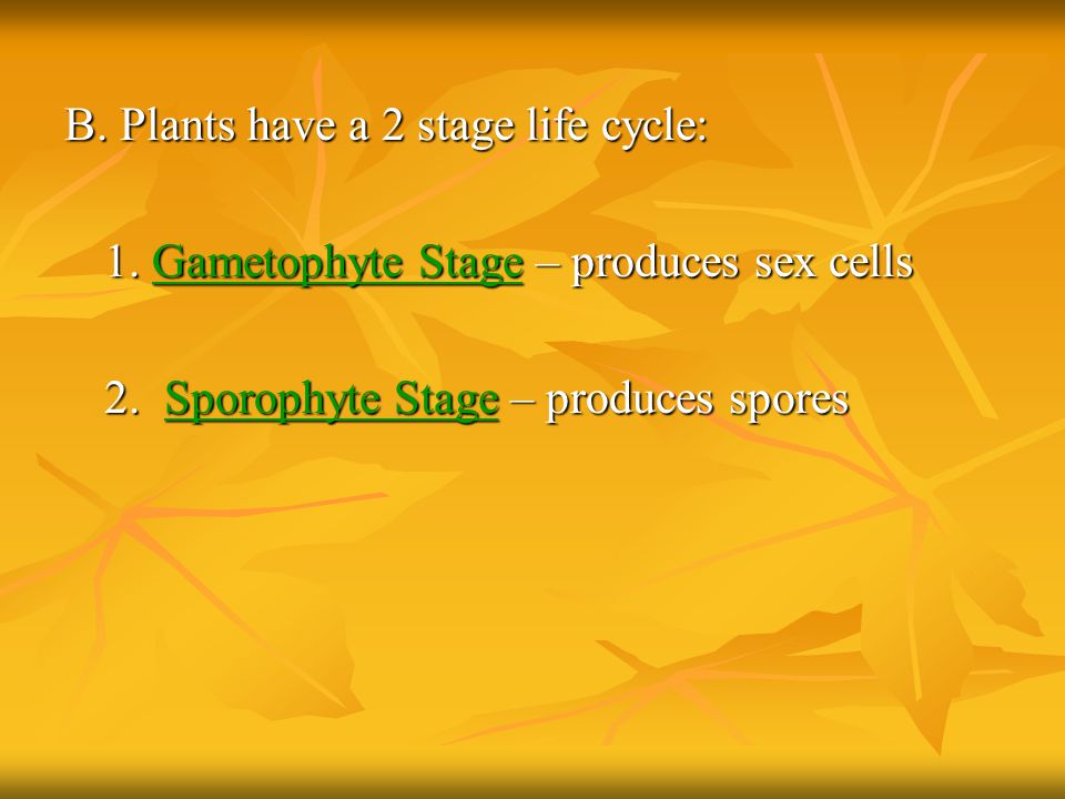B. Plants have a 2 stage life cycle:
