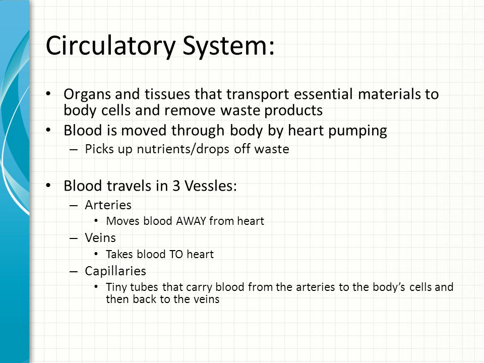 Circulatory System: Organs and tissues that transport essential materials to body cells and remove waste products.