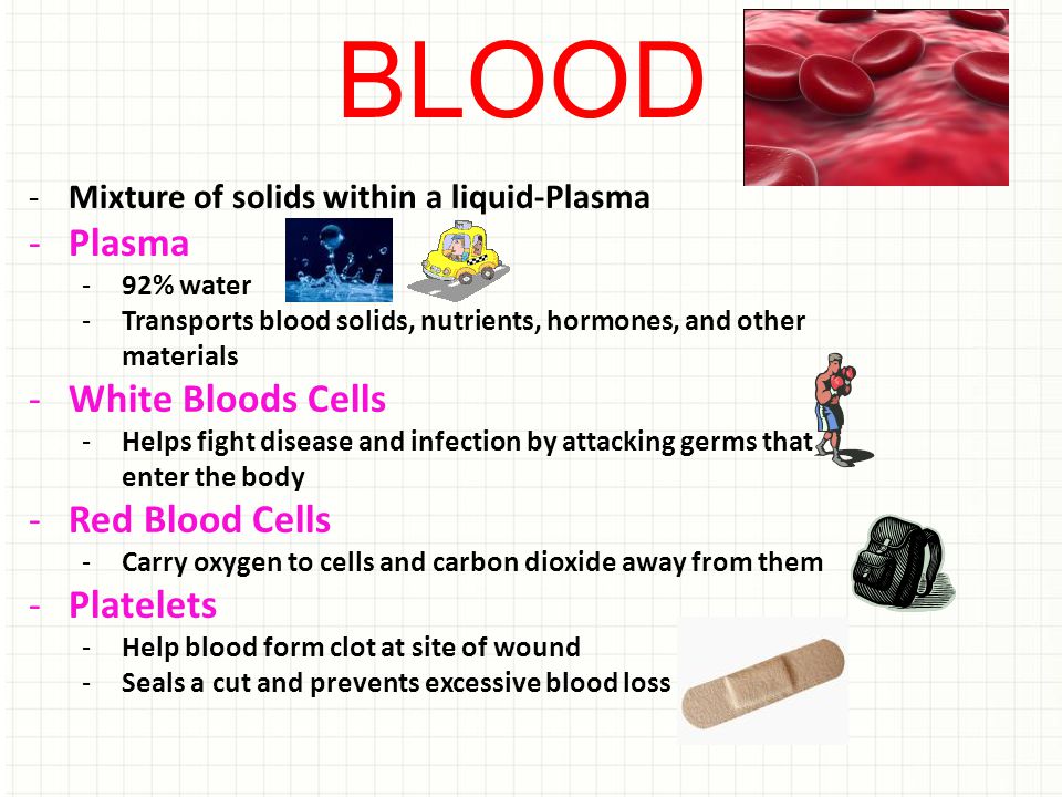 BLOOD Plasma White Bloods Cells Red Blood Cells Platelets