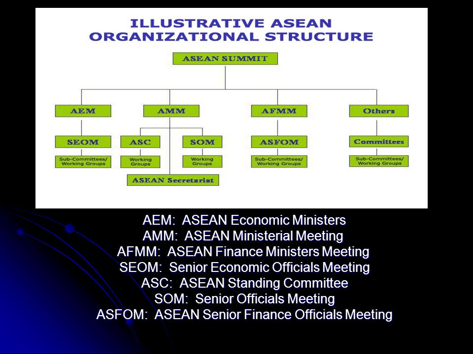 AEM: ASEAN Economic Ministers AMM: ASEAN Ministerial Meeting