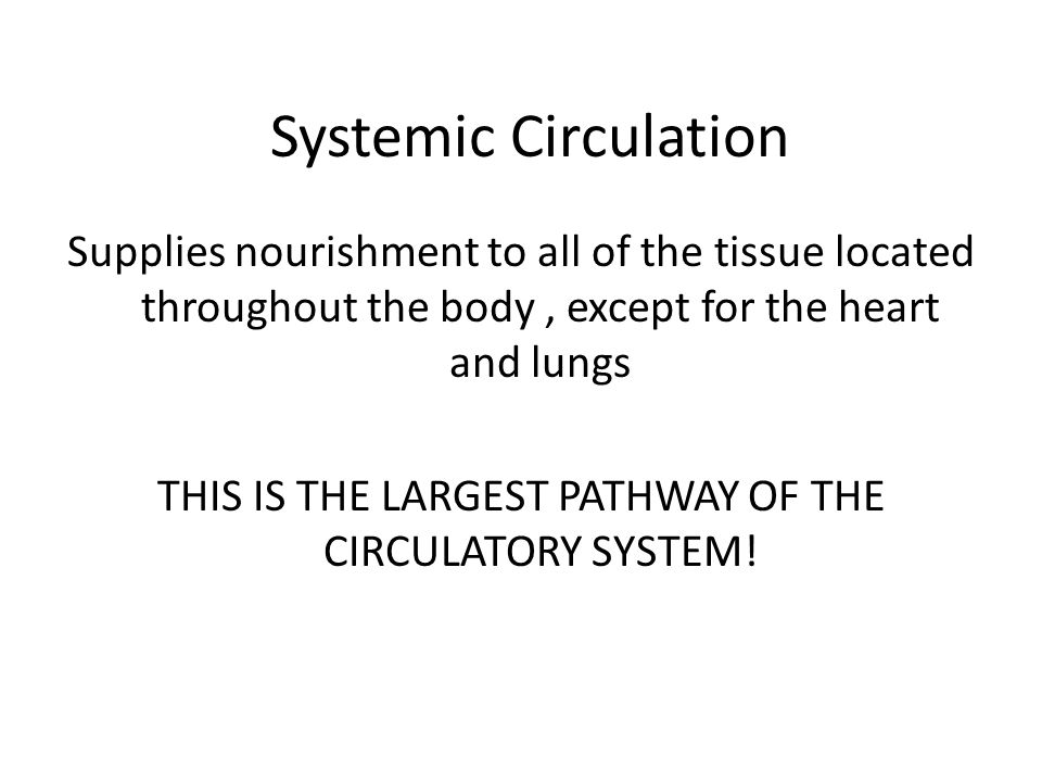 Systemic Circulation
