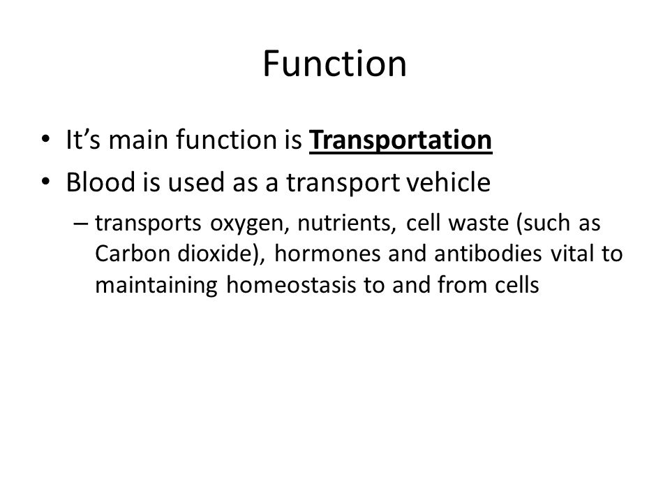 Function It’s main function is Transportation