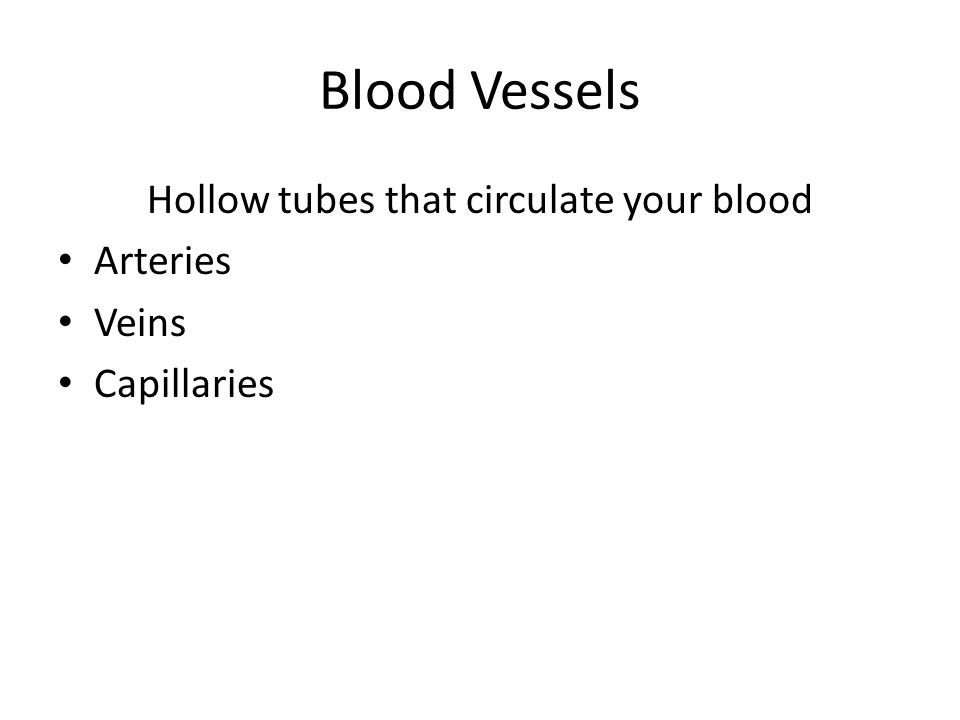 Hollow tubes that circulate your blood