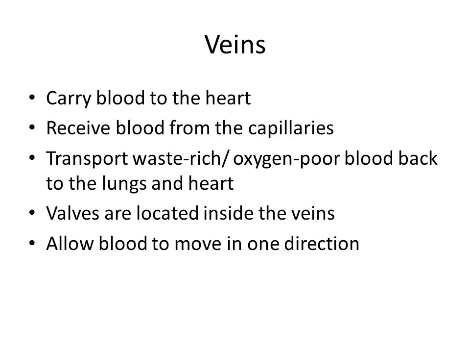 Veins Carry blood to the heart Receive blood from the capillaries