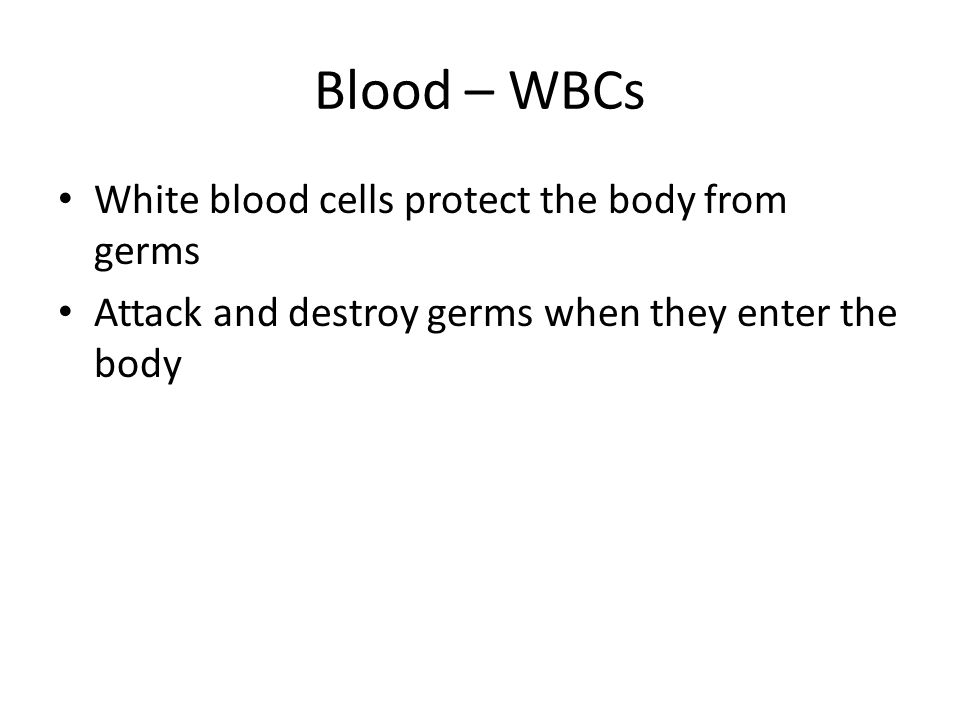 Blood – WBCs White blood cells protect the body from germs
