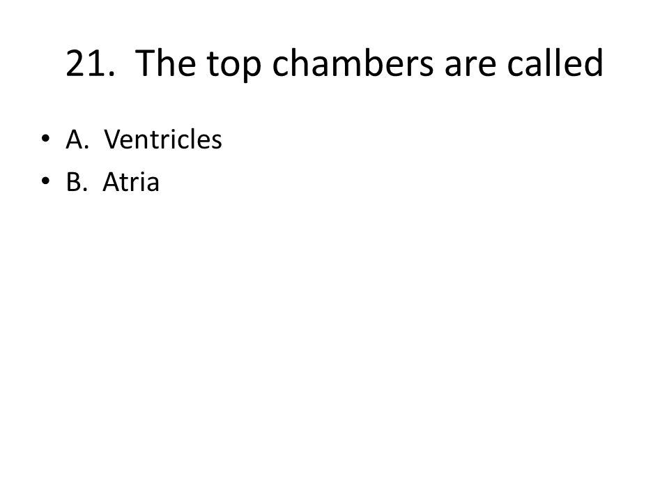 21. The top chambers are called