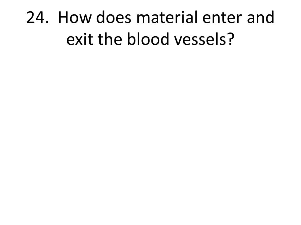 24. How does material enter and exit the blood vessels