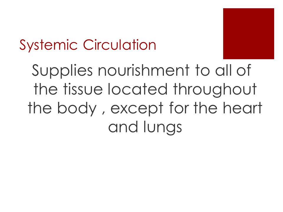 Systemic Circulation Supplies nourishment to all of the tissue located throughout the body , except for the heart and lungs.