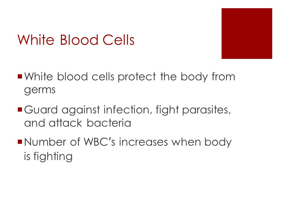 White Blood Cells White blood cells protect the body from germs