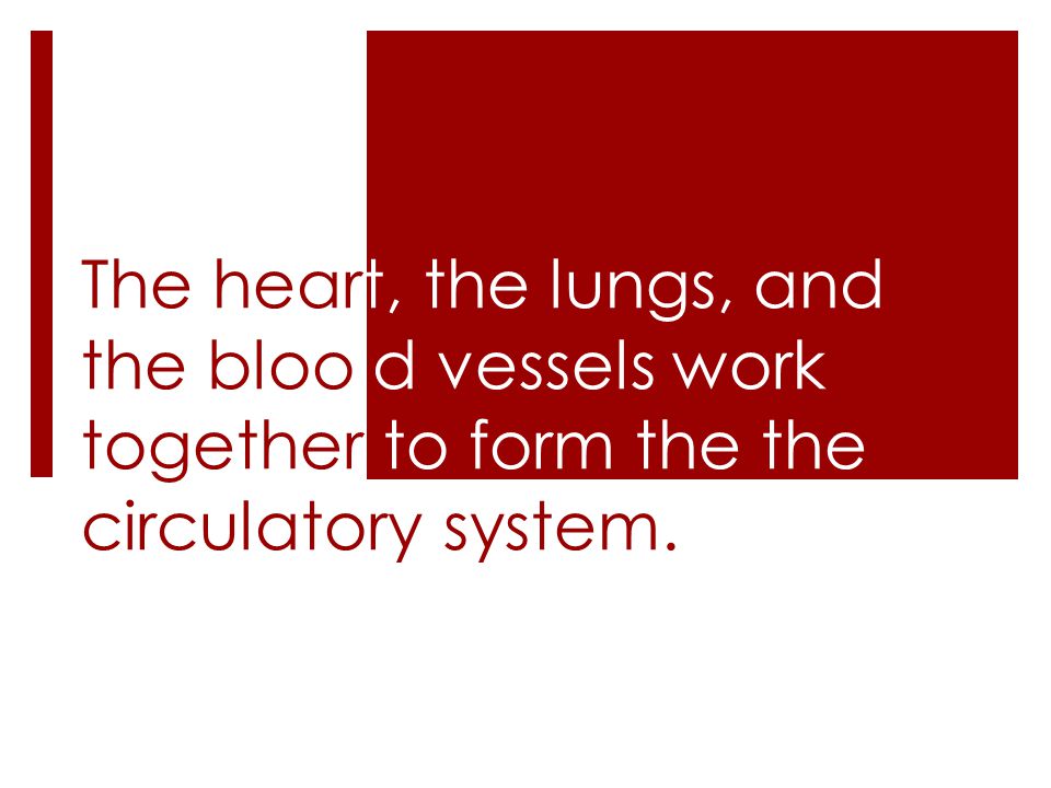 The heart, the lungs, and the bloo d vessels work together to form the the circulatory system.