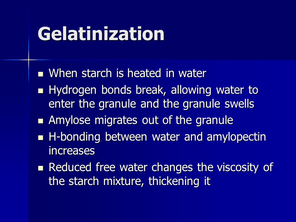 Gelatinization When starch is heated in water
