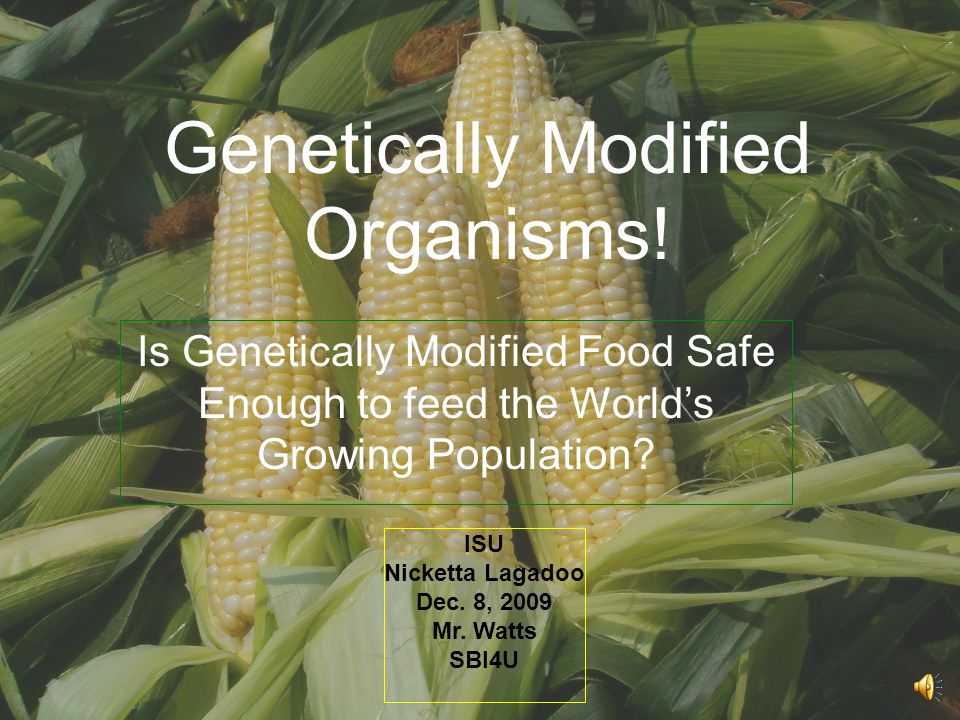 Genetically Modified Organisms!