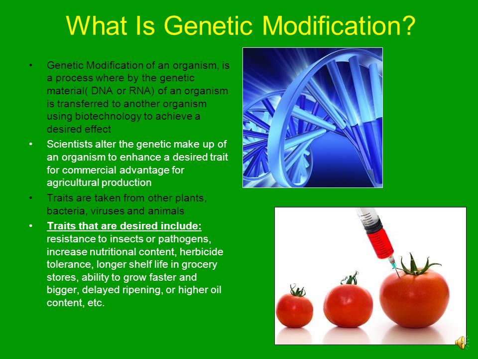 What Is Genetic Modification