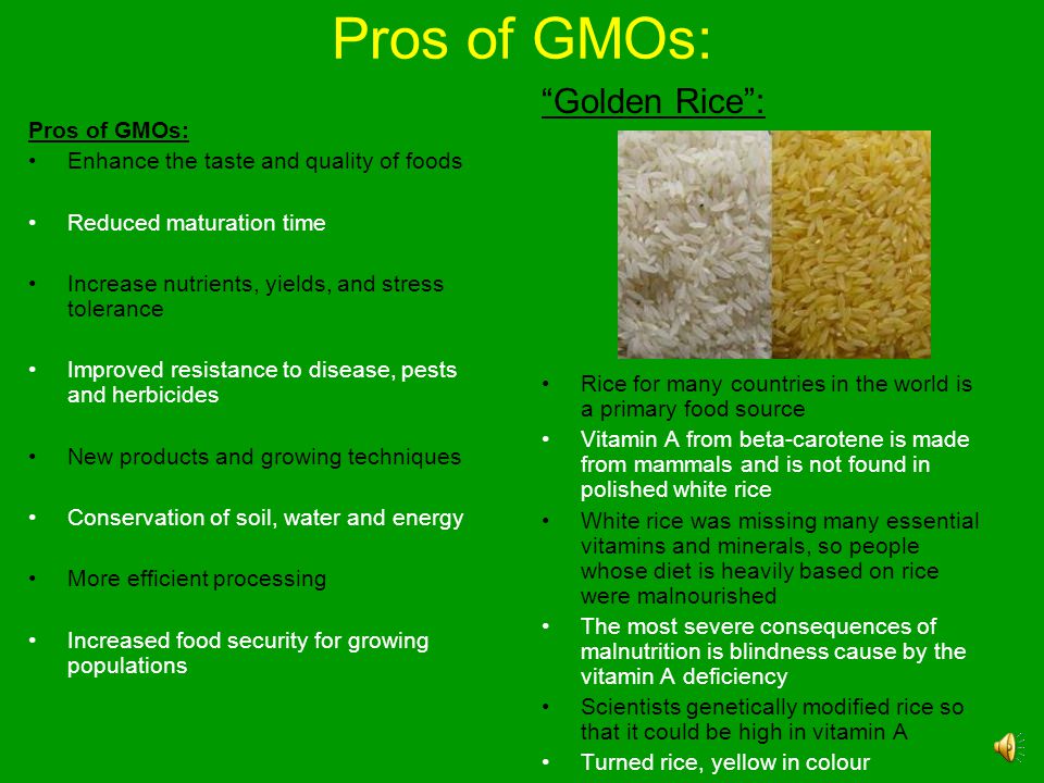 Pros of GMOs: Golden Rice : Pros of GMOs: