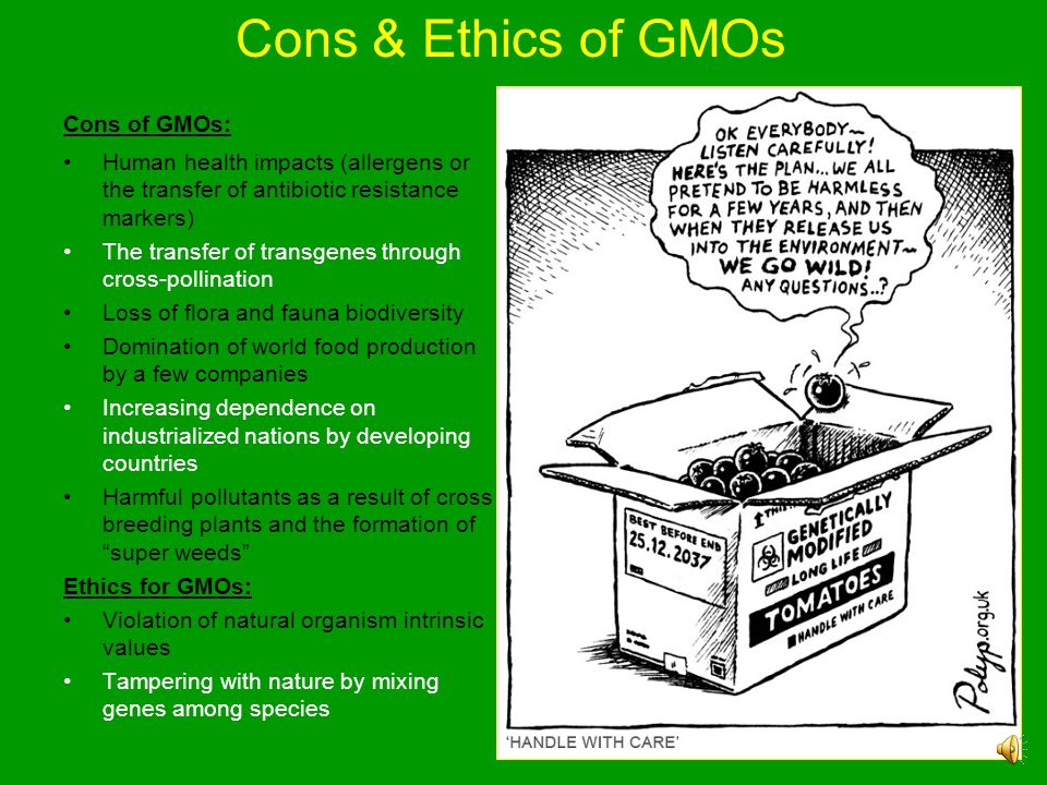 Cons & Ethics of GMOs Cons of GMOs: