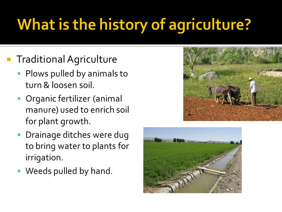 What is the history of agriculture