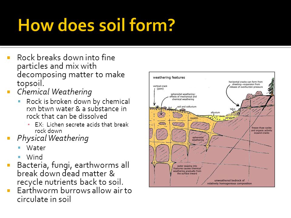 How does soil form Rock breaks down into fine particles and mix with decomposing matter to make topsoil.