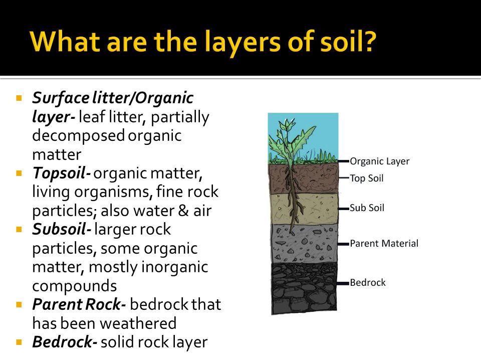 What are the layers of soil