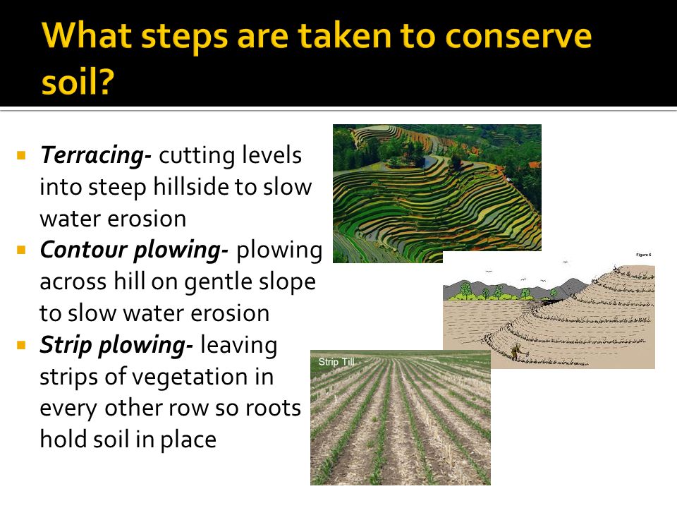 What steps are taken to conserve soil