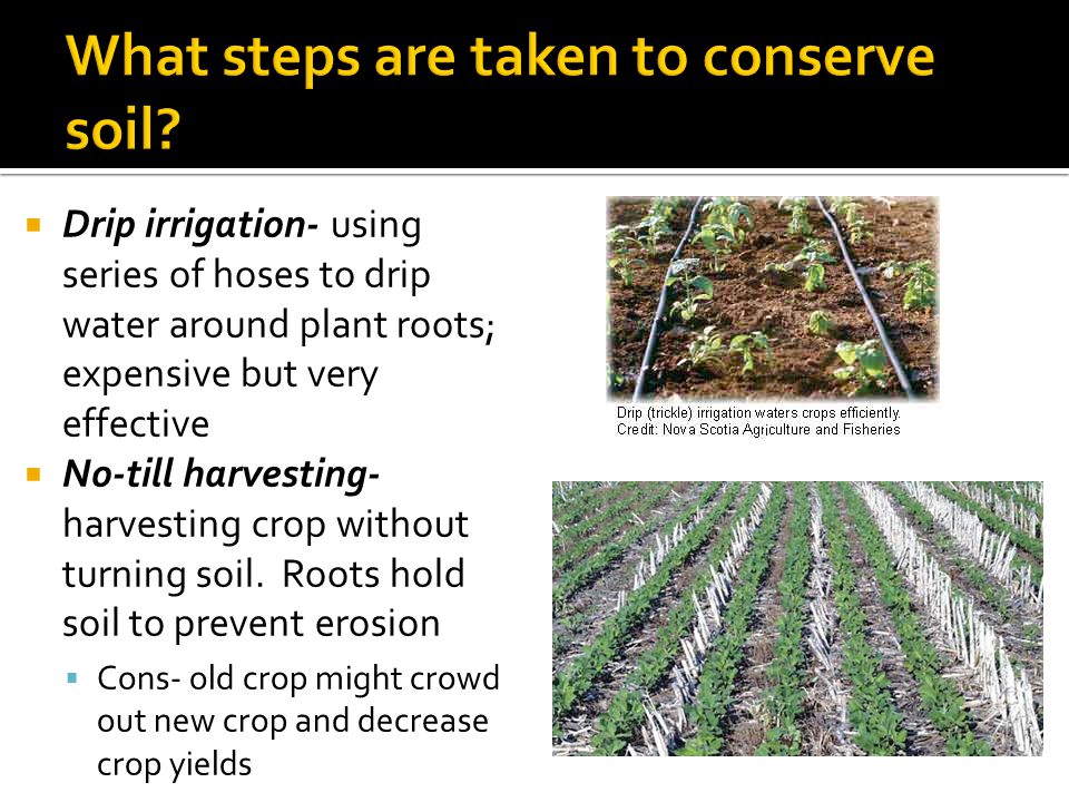 What steps are taken to conserve soil
