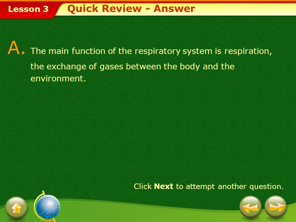 A. The main function of the respiratory system is respiration,