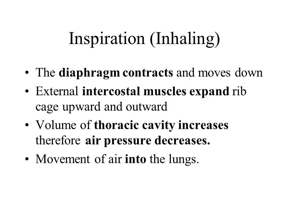 Inspiration (Inhaling)