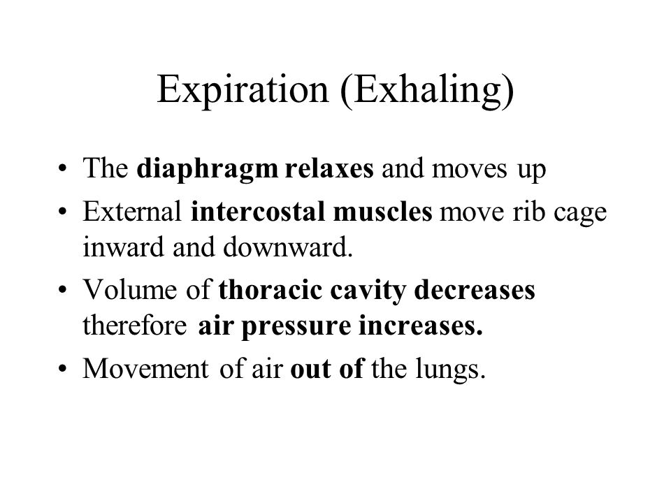 Expiration (Exhaling)