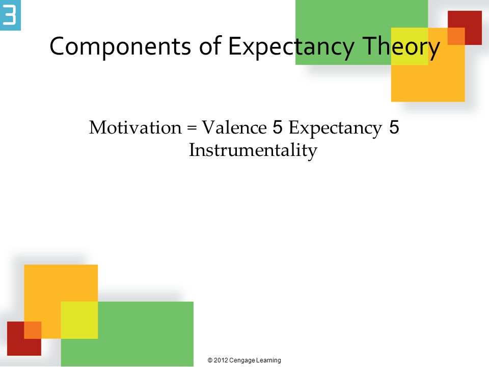 Components of Expectancy Theory