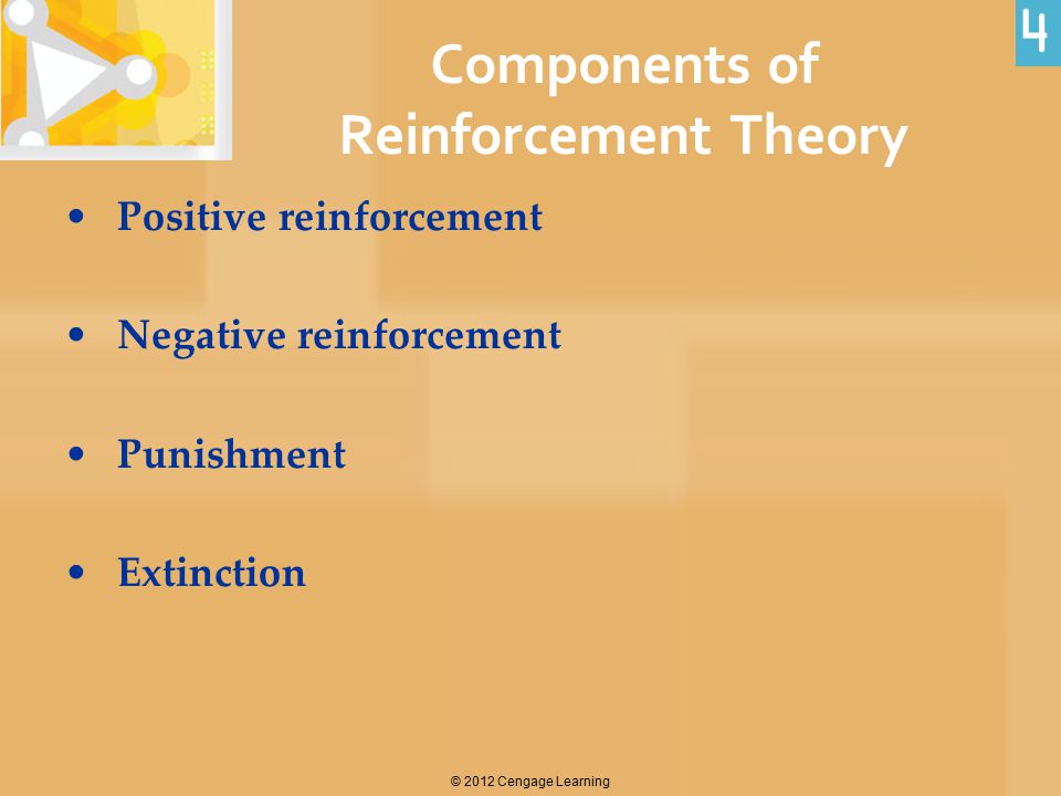 Components of Reinforcement Theory