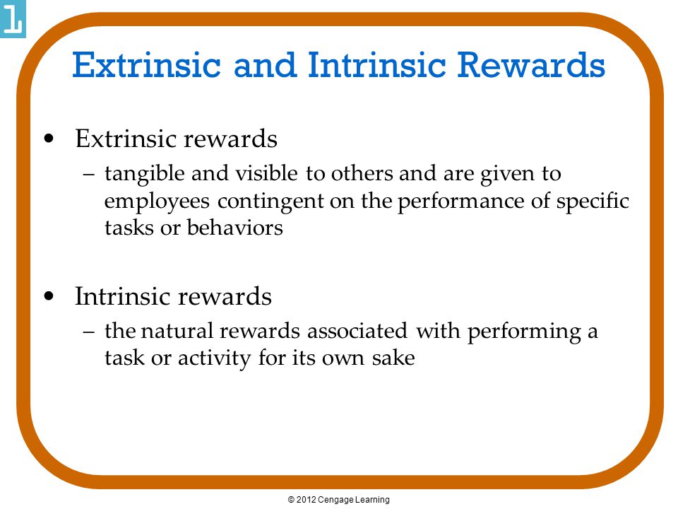 Extrinsic and Intrinsic Rewards