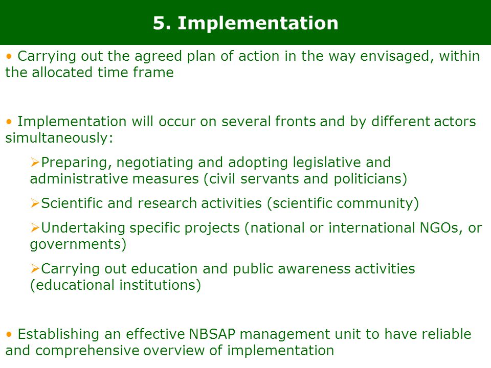 5. Implementation Carrying out the agreed plan of action in the way envisaged, within the allocated time frame.