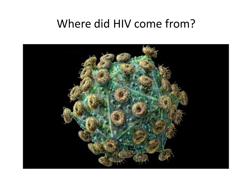 Where did HIV come from
