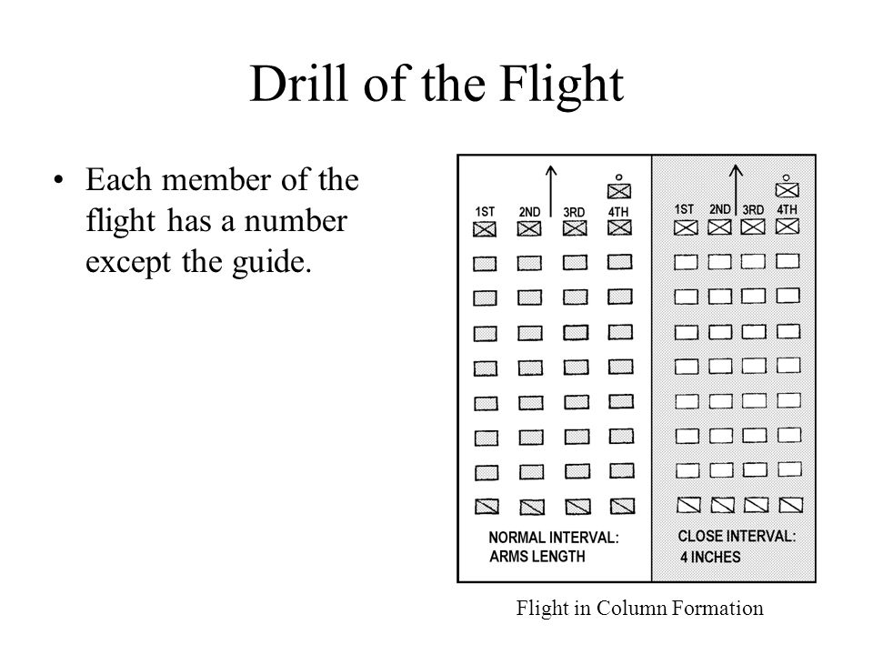 Flight in Column Formation