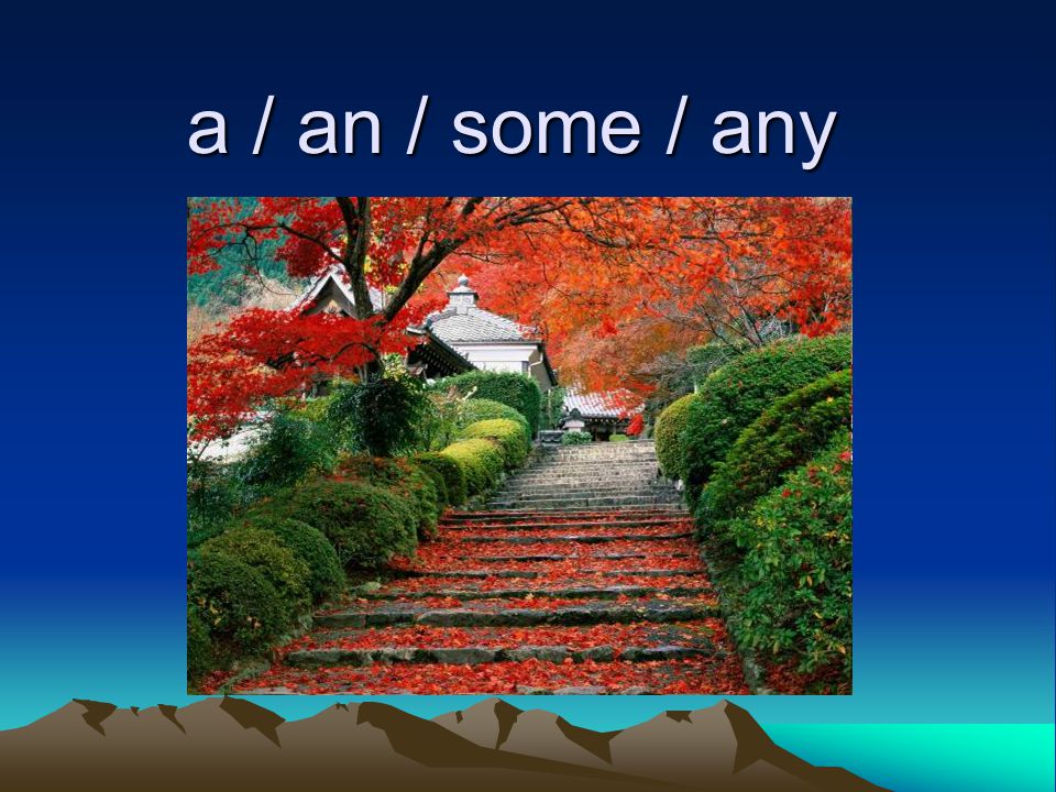 a / an / some / any