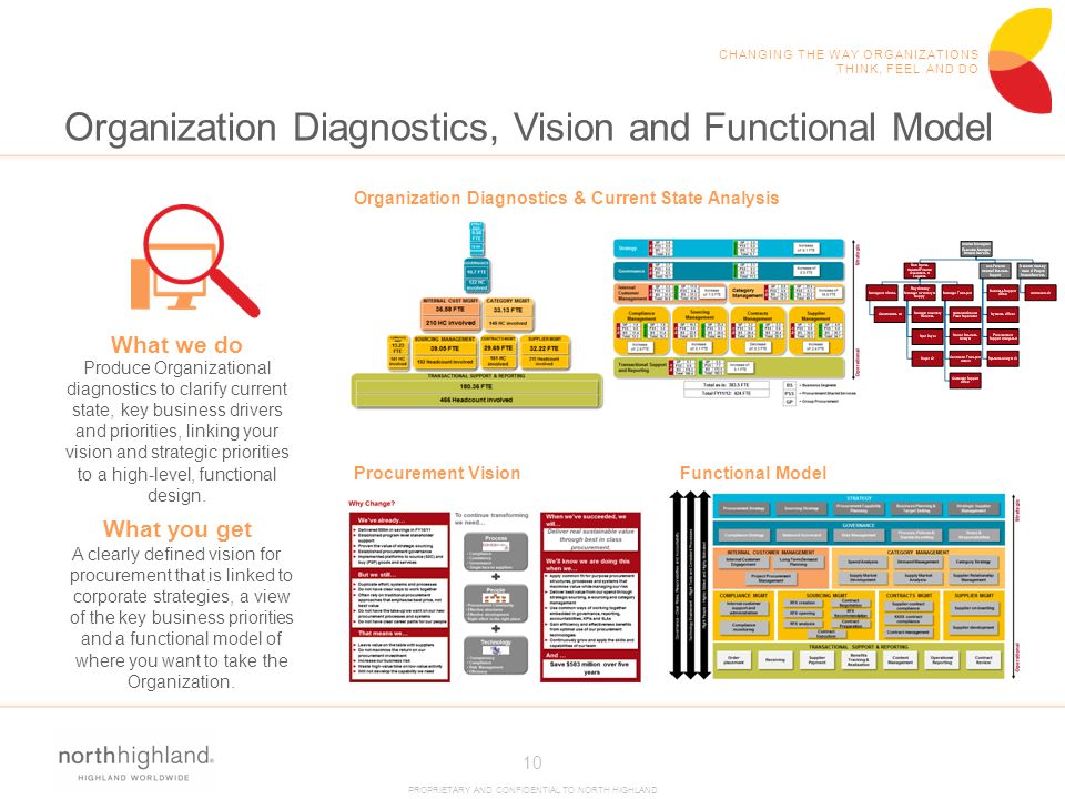 Organization Diagnostics, Vision and Functional Model