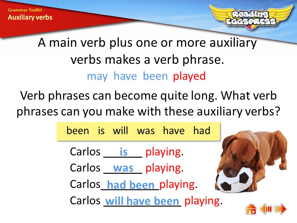 A main verb plus one or more auxiliary verbs makes a verb phrase.