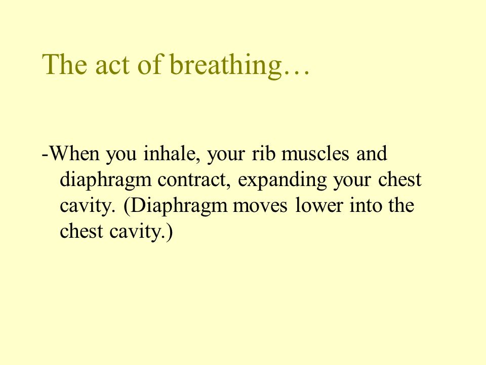The act of breathing…