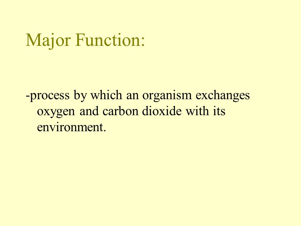 Major Function: -process by which an organism exchanges oxygen and carbon dioxide with its environment.