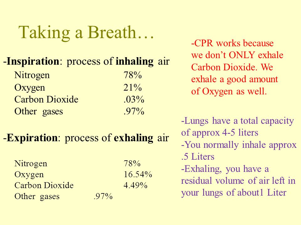 Taking a Breath… -Inspiration: process of inhaling air Nitrogen 78%