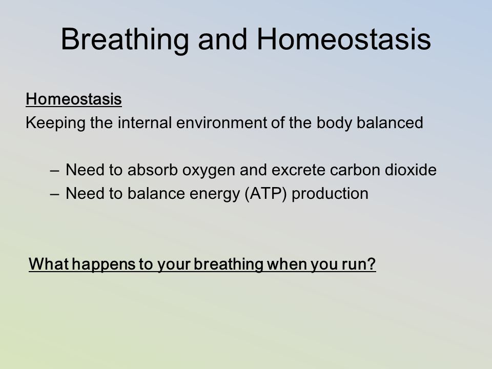 Breathing and Homeostasis